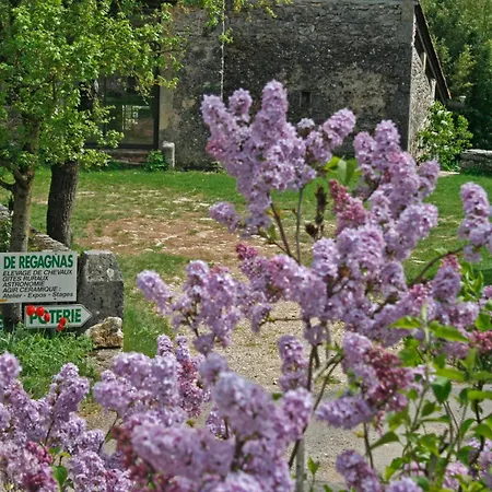 Maison Casal בית נופש