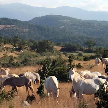 Maison Casal Campestre-et-Luc