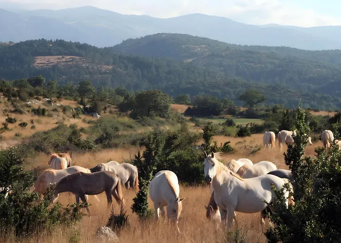 Prázdninový dům Maison Casal Campestre-et-Luc